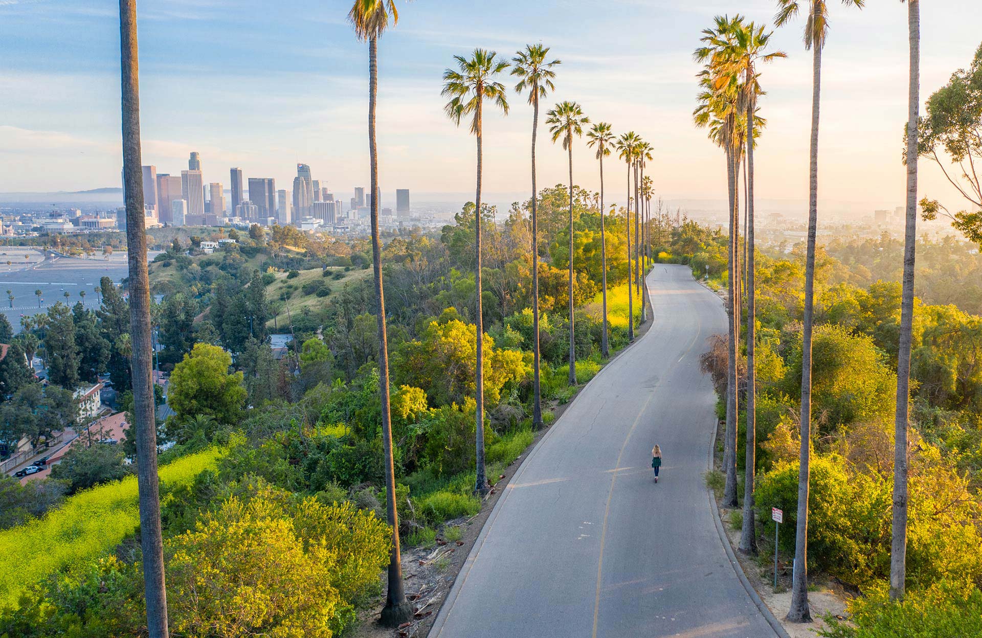 California road skirted with palm trees and city in the distance