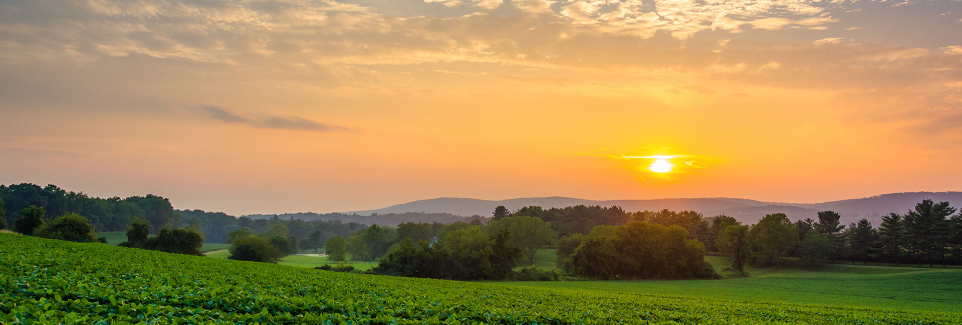 Scenic view of the sun setting over green pastures..